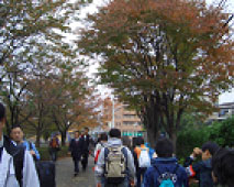 遠足の様子
