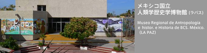 メキシコ国立人類学歴史学博物館（ラパス）